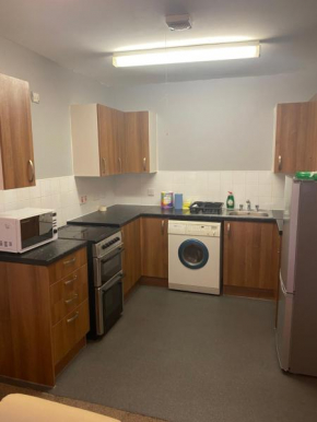 Spacious Neat Penthouse apartment with great view in London